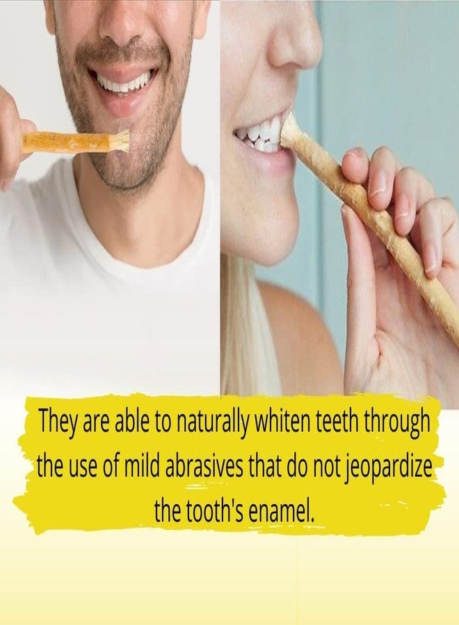 Nature Blaze Natural Traditional Miswak Peelu Chewing Stick Toothbrush for Whiter Teeth | Natural Oral Care | Herbal Miswak for Clean Teeth and Gums | Eco-Friendly, Non-Toxic, and Chemical-Free Toothbrush ( Pack of 5) - Image 4
